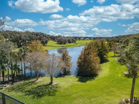 Tiny photo for 30304 Cheval Street, Mount Dora, FL 32757 (MLS # G5099259)