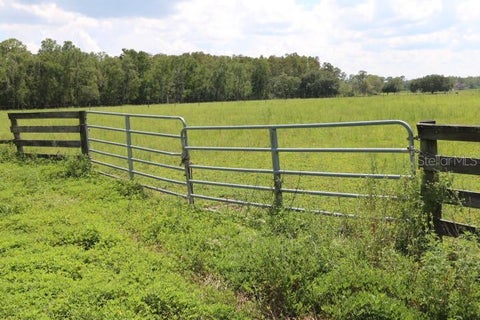 Tiny photo for Green Swamp Road, Clermont, FL 34714 (MLS # O6339581)