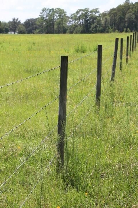 GREEN SWAMP ROAD CLERMONT FL 34714