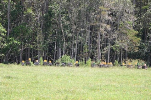 Tiny photo for Green Swamp Road, Clermont, FL 34714 (MLS # O6339581)