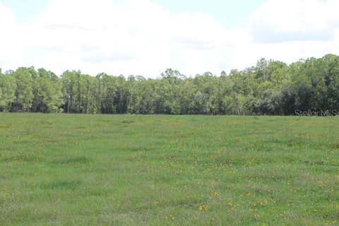Tiny photo for Green Swamp Road, Clermont, FL 34714 (MLS # O6339581)