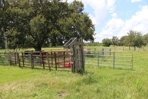 Tiny photo for Green Swamp Road, Clermont, FL 34714 (MLS # O6339581)
