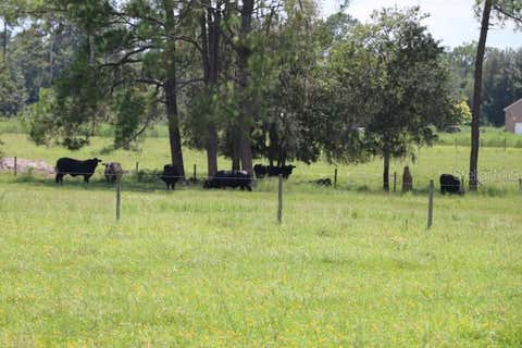 Tiny photo for Green Swamp Road, Clermont, FL 34714 (MLS # O6339581)
