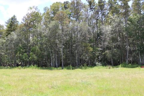 Tiny photo for Green Swamp Road, Clermont, FL 34714 (MLS # O6339581)