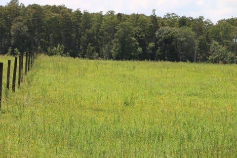 Tiny photo for Green Swamp Road, Clermont, FL 34714 (MLS # O6339581)