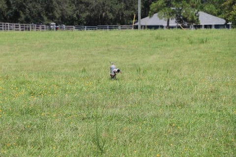 Tiny photo for Green Swamp Road, Clermont, FL 34714 (MLS # O6339581)