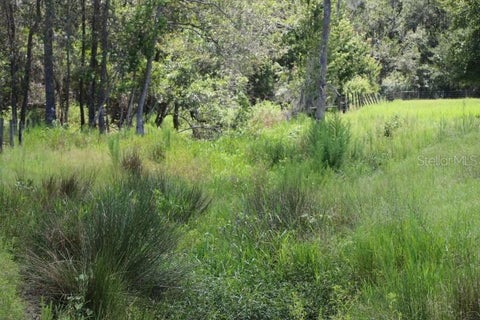 Tiny photo for Green Swamp Road, Clermont, FL 34714 (MLS # O6339581)