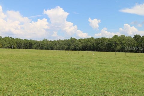 Tiny photo for Green Swamp Road, Clermont, FL 34714 (MLS # O6339581)