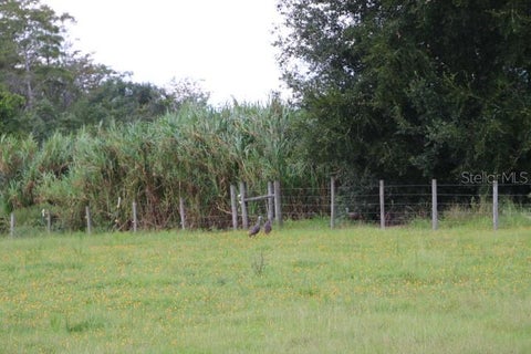 Tiny photo for Green Swamp Road, Clermont, FL 34714 (MLS # O6339581)