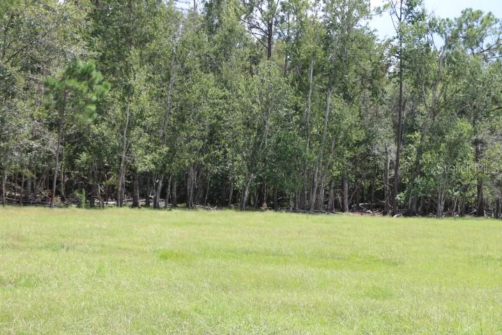 GREEN SWAMP ROAD