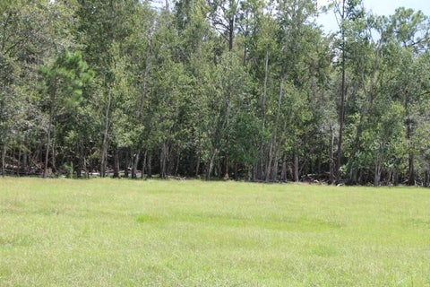 Tiny photo for Green Swamp Road, Clermont, FL 34714 (MLS # O6339581)