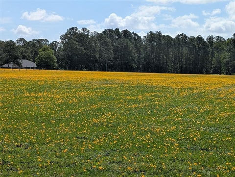 Tiny photo for Green Swamp Road, Clermont, FL 34714 (MLS # O6339581)