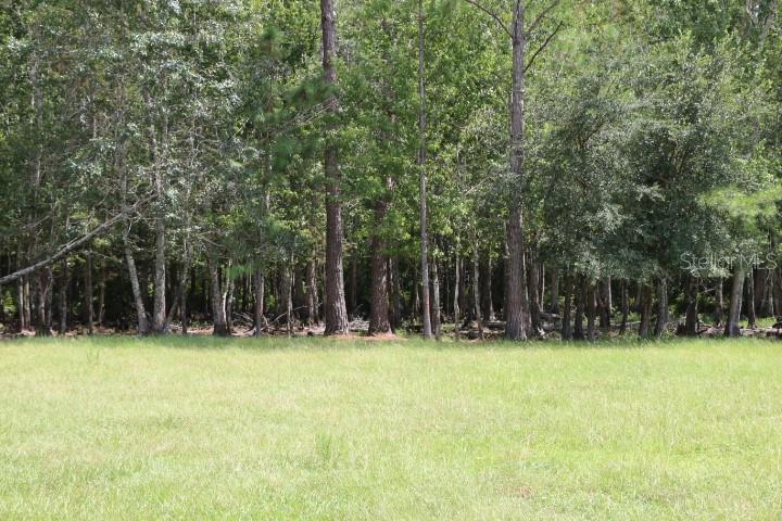 GREEN SWAMP ROAD