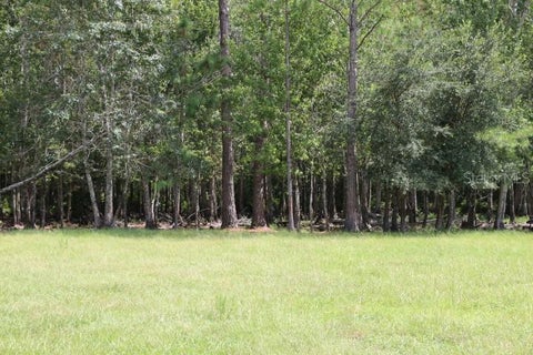 Tiny photo for Green Swamp Road, Clermont, FL 34714 (MLS # O6339581)