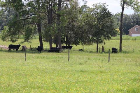 Tiny photo for Green Swamp Road, Clermont, FL 34714 (MLS # O6339581)