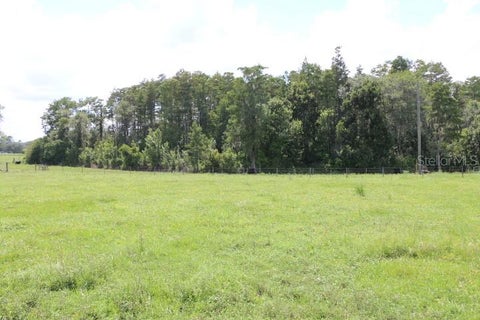 Tiny photo for Green Swamp Road, Clermont, FL 34714 (MLS # O6339581)