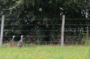 Tiny photo for Green Swamp Road, Clermont, FL 34714 (MLS # O6339581)