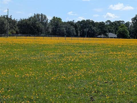 Photo of Green Swamp Road, Clermont, FL 34714 (MLS # O6339581)
