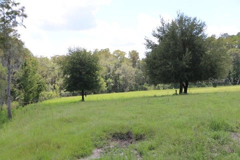 Tiny photo for Green Swamp Road, Clermont, FL 34714 (MLS # O6339581)