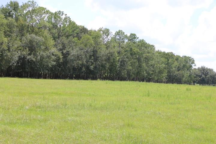 GREEN SWAMP ROAD