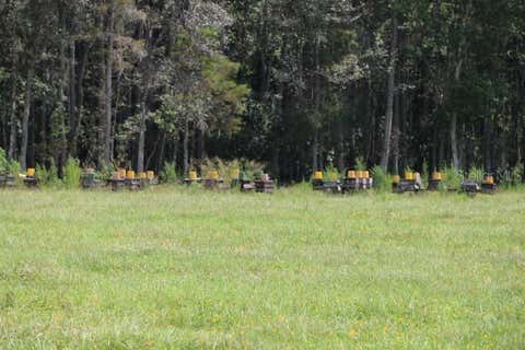 Tiny photo for Green Swamp Road, Clermont, FL 34714 (MLS # O6339581)