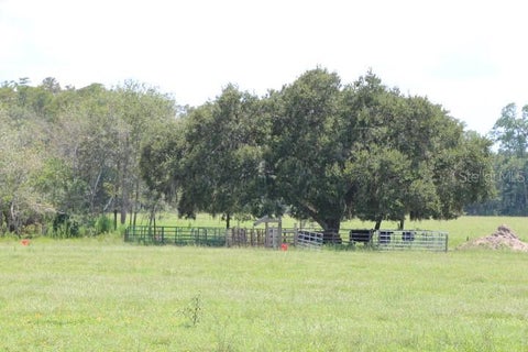 Tiny photo for Green Swamp Road, Clermont, FL 34714 (MLS # O6339581)