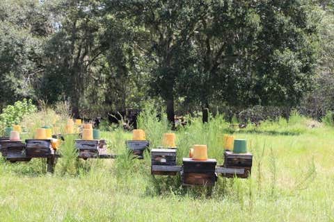 Tiny photo for Green Swamp Road, Clermont, FL 34714 (MLS # O6339581)