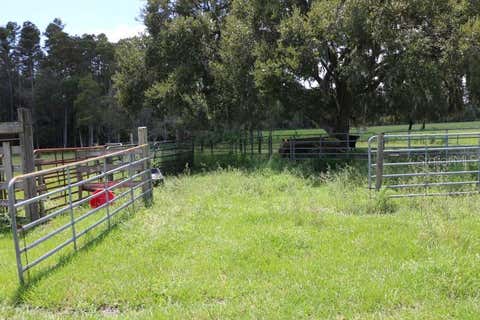 Tiny photo for Green Swamp Road, Clermont, FL 34714 (MLS # O6339581)