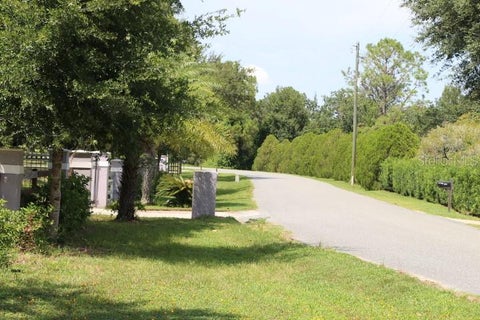 Tiny photo for Green Swamp Road, Clermont, FL 34714 (MLS # O6339581)