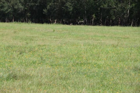 Tiny photo for Green Swamp Road, Clermont, FL 34714 (MLS # O6339581)