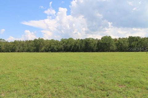 Tiny photo for Green Swamp Road, Clermont, FL 34714 (MLS # O6339581)