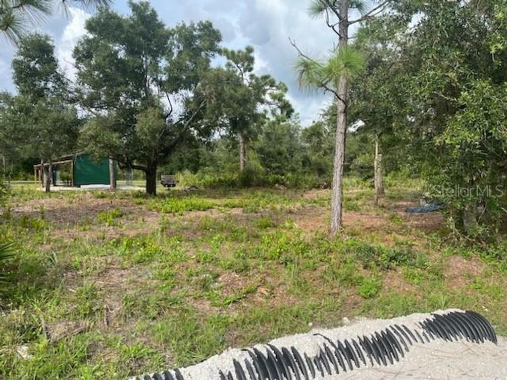 Photo of 33410 Washington Loop Road, Punta Gorda, FL 33982 (MLS # TB8306681)