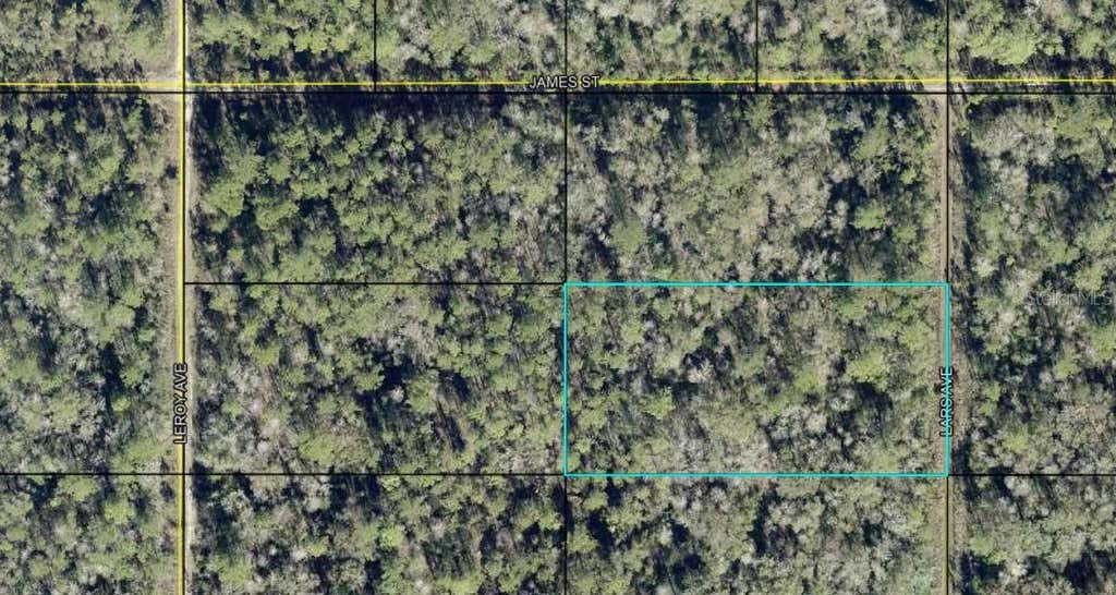 Photo of X Lars Avenue, Hastings, FL 32145 (MLS # FC320583)