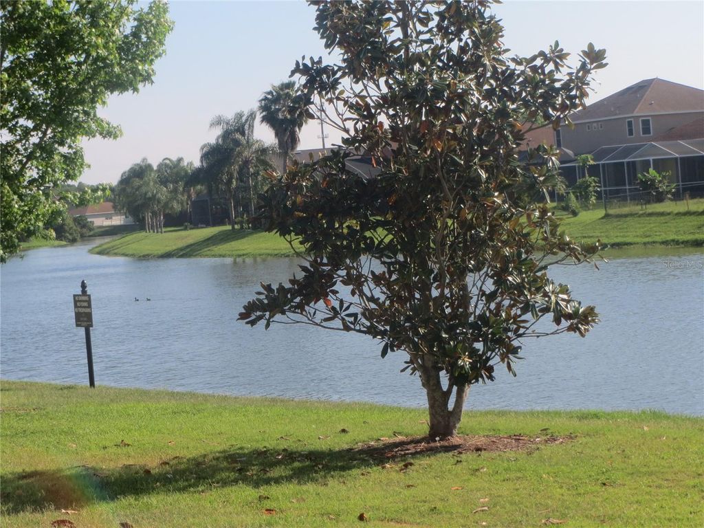 Photo of 6925 Towering Spruce Drive, Riverview, FL 33578 (MLS # TB8505097)