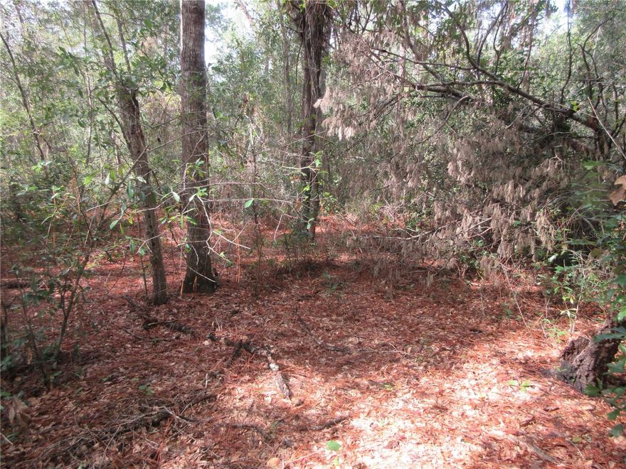 Semi-secluded quiet .29 acre wooded lot located just 1000 feet away from the Ocala National Forest entrance trail! The lot is zoned R-4 for either a mobile, stick built, or concrete block home. No HOA! If you need an extra large lot for your home, garage, and toys, this is it! The lot dimensions are 100x125. A great buy for just $14,900. Also, if you need more land, the adjoining Lot 69 (MLS#OM711560) is also available. Its the same size (100x125). Both lots would give you .58 acres. You can have both lots for $29,800. This vacant lot is located in the Ocala National Forest which affords you almost a ½ million acres of forest to roam, 600 lakes, 2 rivers Juniper Springs, Silver Glen Springs, Salt Springs, swimming, skiing, Big BASS Fishing, Boating, Camping, Hiking, Horse back riding and some of the best ATV riding anywhere. Daytona Beach is just 1 hour away. Let the fun begin! You need it!