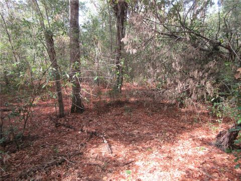 NE 171ST COURT SILVER SPRINGS FL 34488