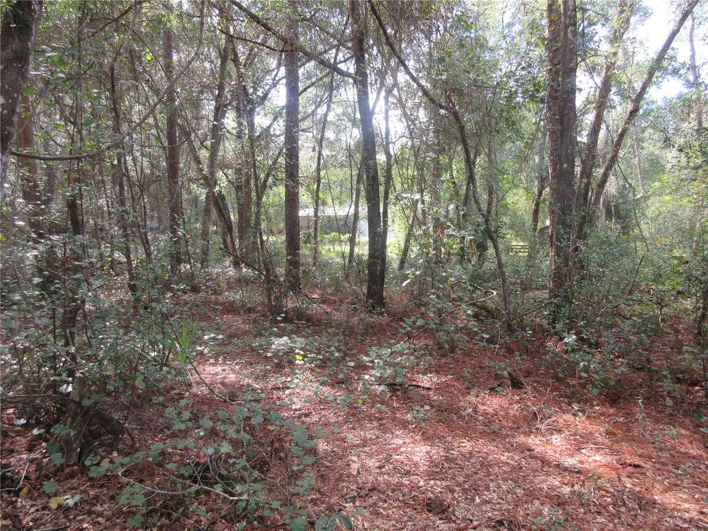 Photo of NE 171st Court, Silver Springs, FL 34488 (MLS # OM711563)