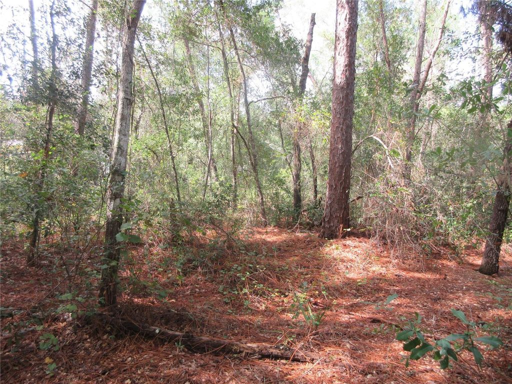Photo of NE 171st Court, Silver Springs, FL 34488 (MLS # OM711563)