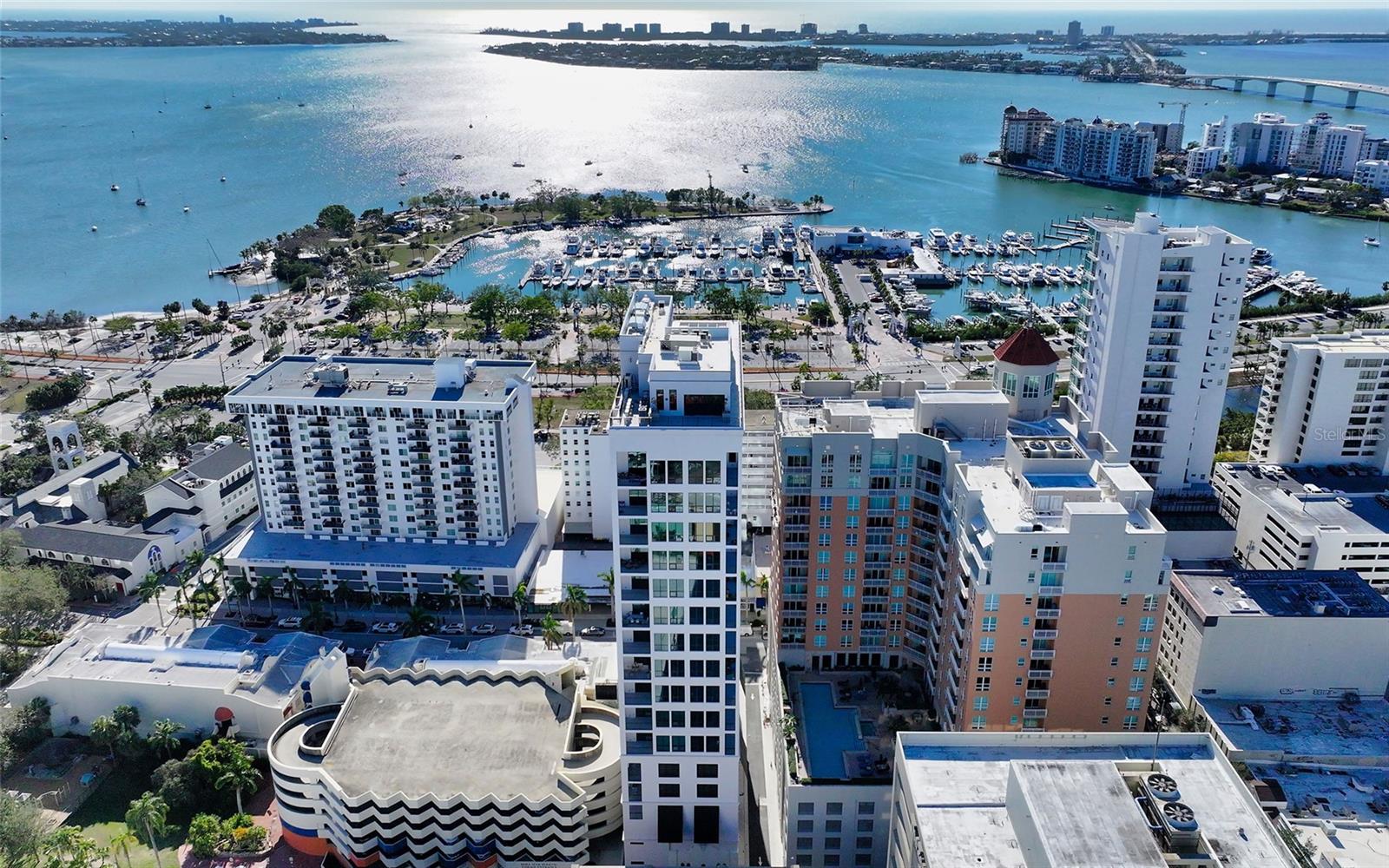 33 S PALM AVENUE 1501