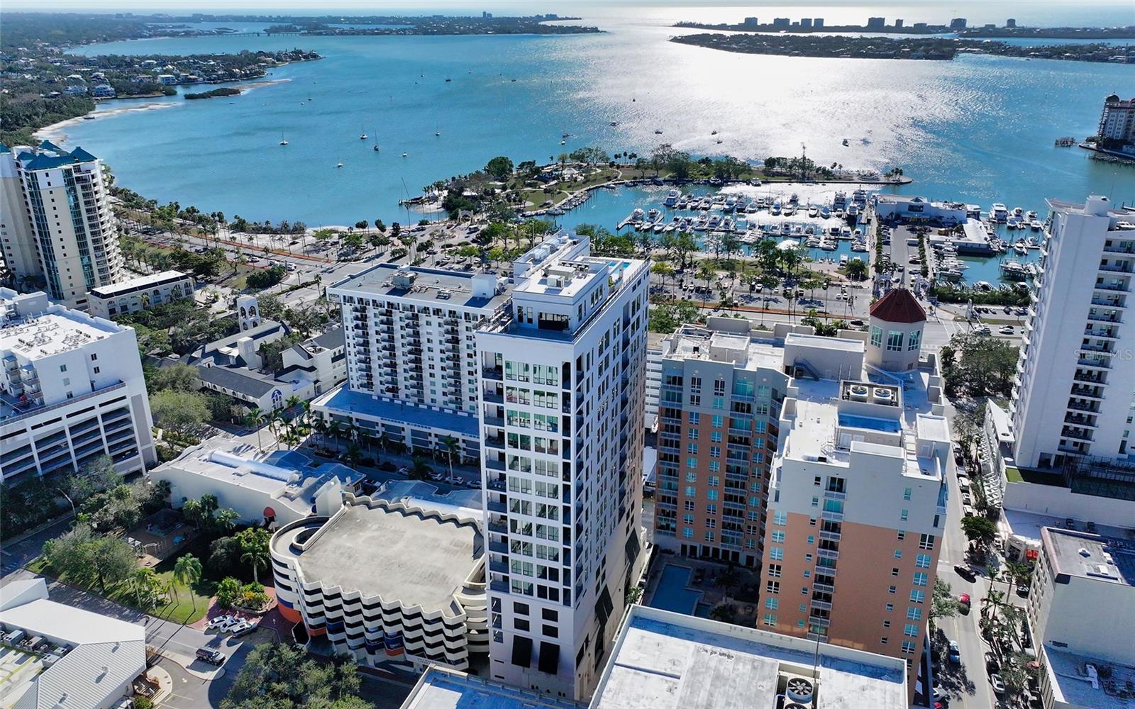33 S PALM AVENUE 1501