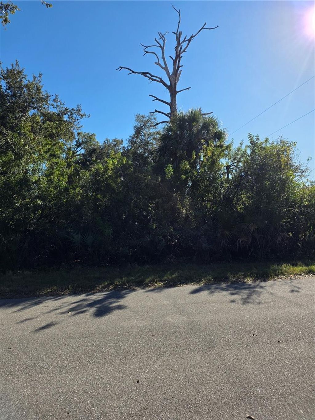 Photo of 12031 Miles Avenue, Port Charlotte, FL 33953 (MLS # D6145837)