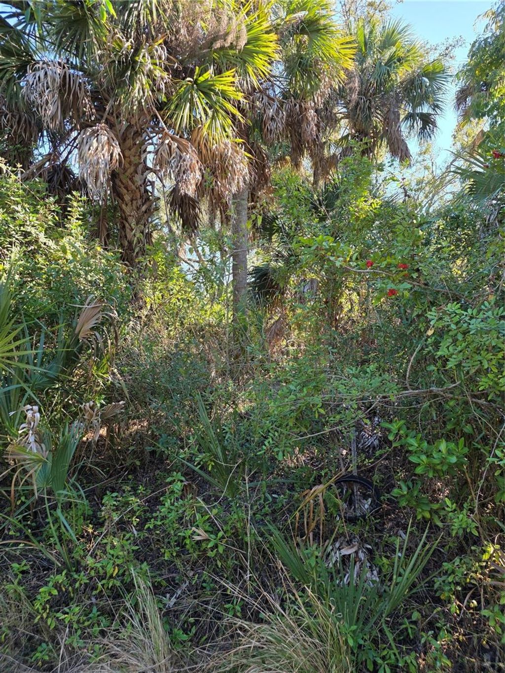 Photo of 12031 Miles Avenue, Port Charlotte, FL 33953 (MLS # D6145837)