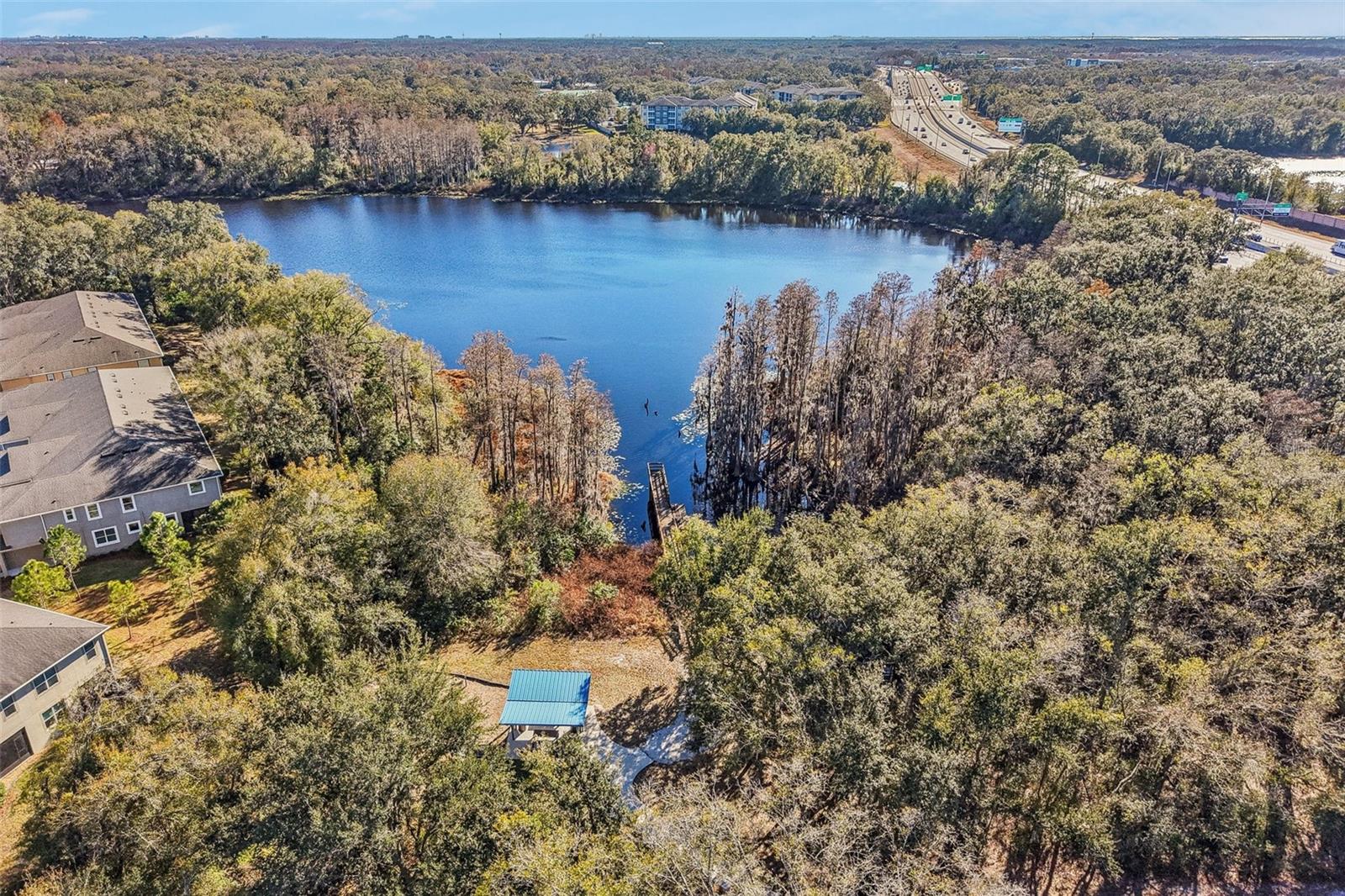 LAKEVIEW/CITRUS PARK - Residential