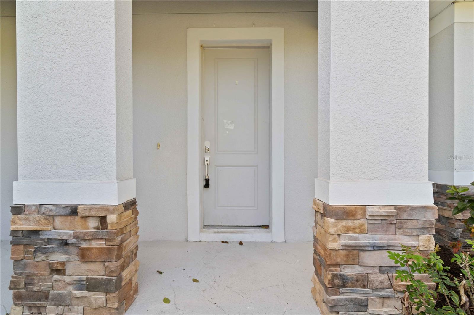 4239 BELLADONNA AVENUE