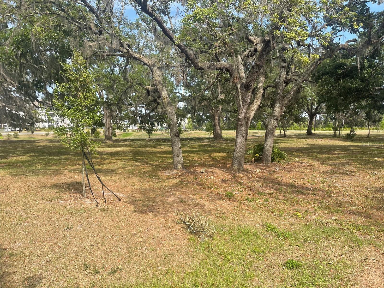 TOWNES/VERIDIAN    XX-XX-XX-XXXX-XXXXX-XXXX - Residential Lease