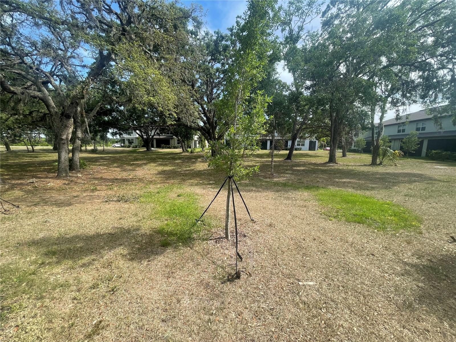 TOWNES/VERIDIAN    XX-XX-XX-XXXX-XXXXX-XXXX - Residential Lease