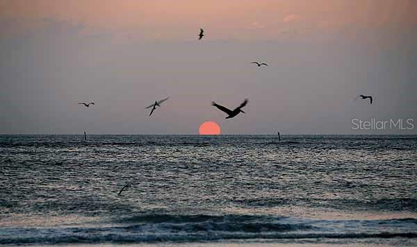 GRAND OAK AT TARA - Residential