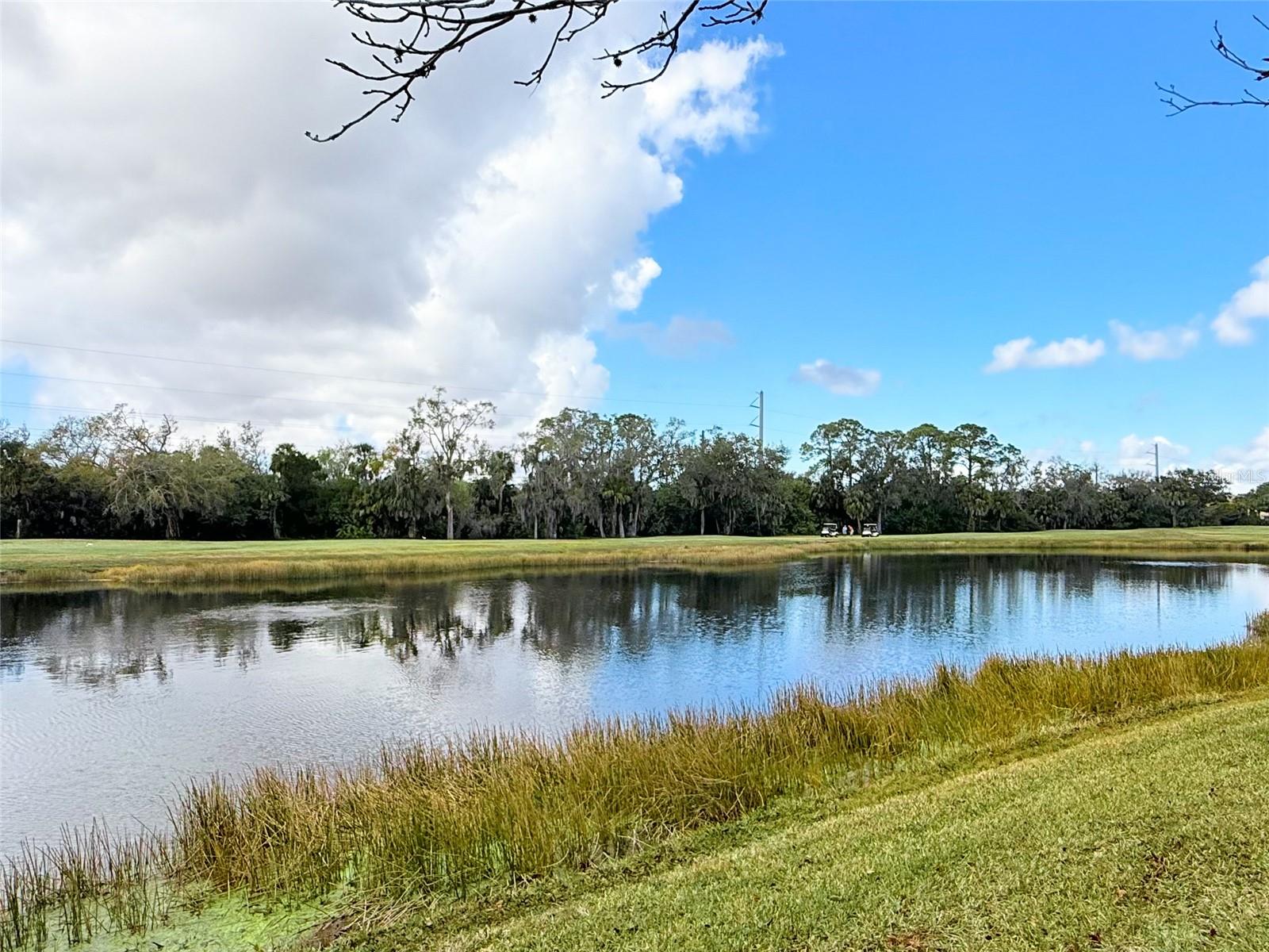 GRAND OAK AT TARA - Residential