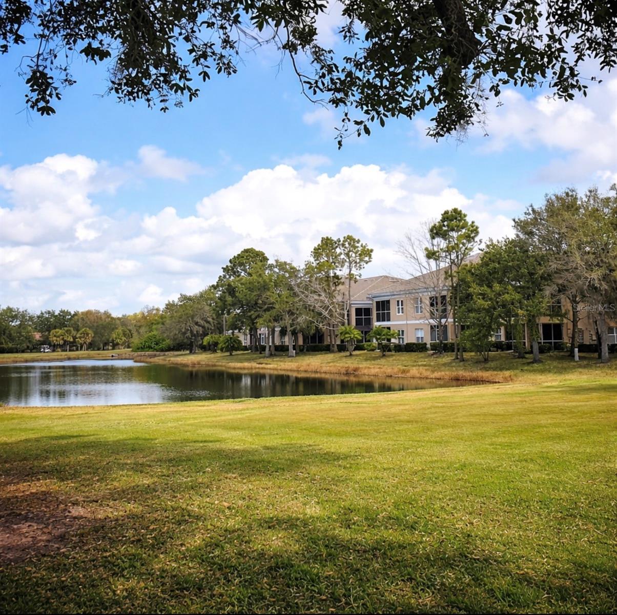 GRAND OAK AT TARA - Residential