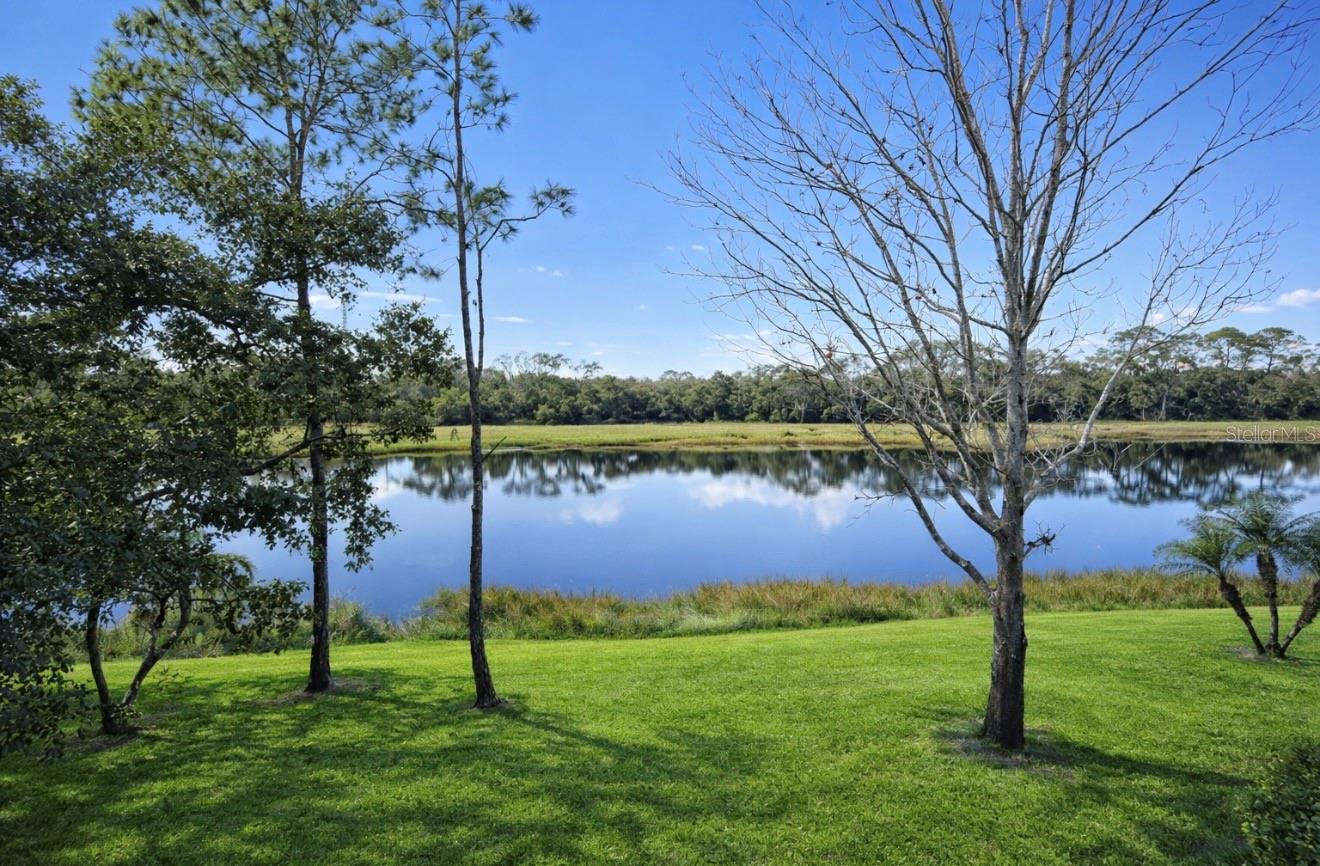 GRAND OAK AT TARA - Residential